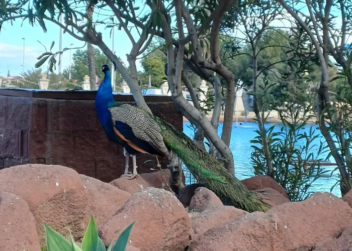 Apartment Stylish With Communal Pool